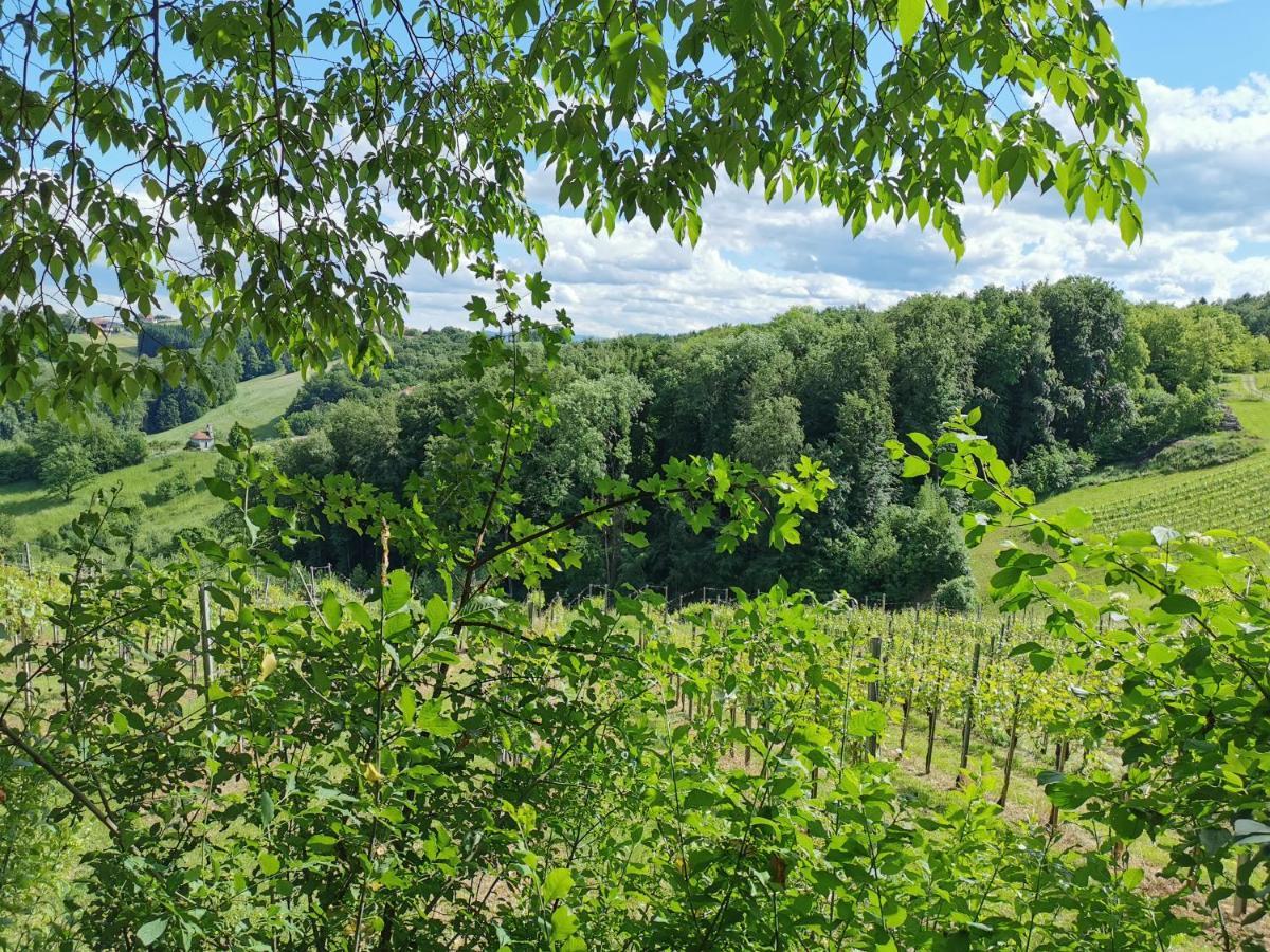 Вилла Weingut Assigal Лейбниц Экстерьер фото