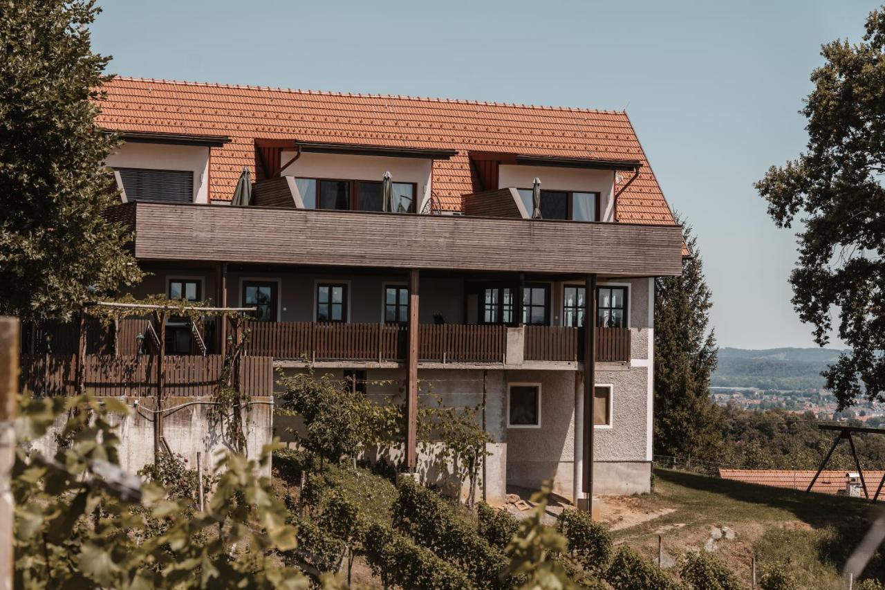 Вилла Weingut Assigal Лейбниц Экстерьер фото