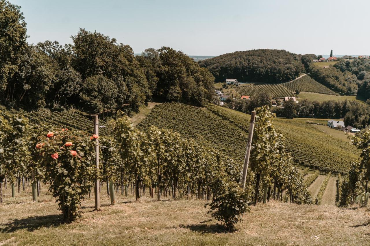 Вилла Weingut Assigal Лейбниц Экстерьер фото