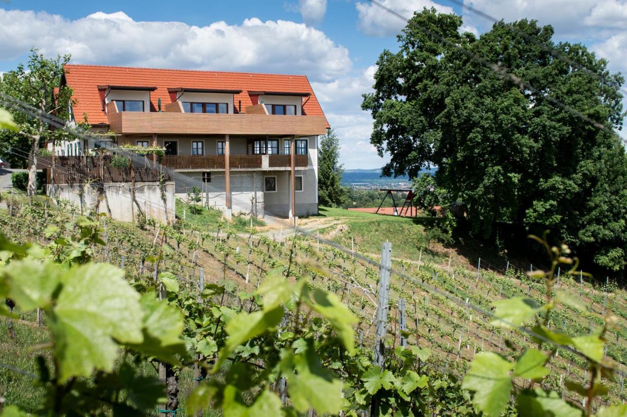 Вилла Weingut Assigal Лейбниц Экстерьер фото